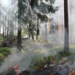 Incendios y Cambio Climático